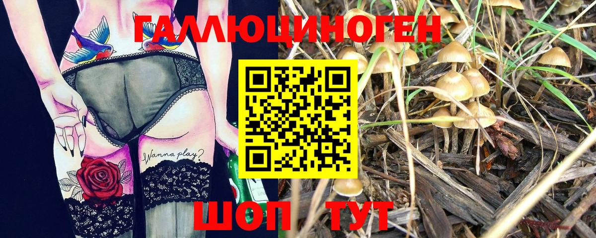 МЕТ  ГАШ  ГАШ  МАРИХУАНА  A-PVP СОЛЬ кристаллы  Мурино  Кокаин  Меф кристаллы  Вход с VPN 