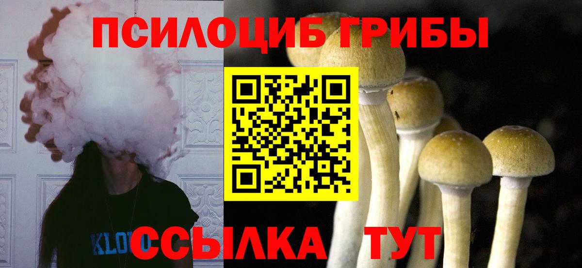 Мурино  Псилоцибиновые грибы прущие грибы  Вход с VPN 
