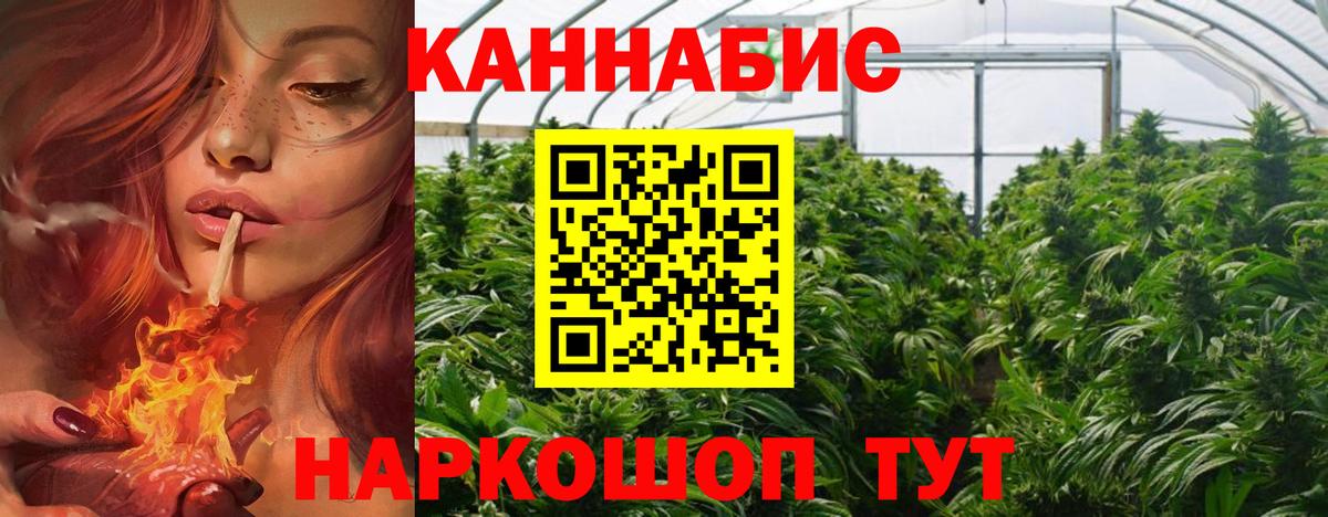 Конопля MAZAR Мурино